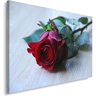 Feeby . Wandbild 1 Teilig 40x60 cm, Leinwand Bild Leinwandbilder Bilder Wandbilder Kunstdruck, ROSE, BLUME, ROT Feeby . Wandbild 1 Teilig 40x60 cm, Leinwand Bild Leinwandbilder Bilder Wandbilder Kunstdruck, ROSE, BLUME, ROT