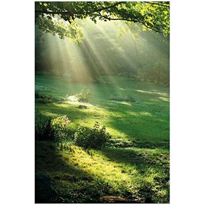 Wallario Poster Sonnenstrahlen im Wald in Premiumqualität, Größe: 61 x 91,5 cm (Maxiposter) Wallario Poster Sonnenstrahlen im Wald in Premiumqualität, Größe: 61 x 91,5 cm (Maxiposter)
