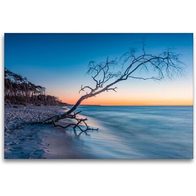 CALVENDO Premium Textil-Leinwand 120 x 80 cm Quer-Format Am Weststrand Wandbild, HD-Bild auf Keilrahmen, Fertigbild auf hochwertigem Vlies, Leinwanddruck von Klaus Hoffmann CALVENDO Premium Textil-Leinwand 120 x 80 cm Quer-Format Am Weststrand Wandbild, HD-Bild auf Keilrahmen, Fertigbild auf hochwertigem Vlies, Leinwanddruck von Klaus Hoffmann