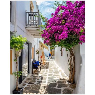 Wallario Poster Griechische Blütengasse in Premiumqualität, Größe: 40 x 50 cm Wallario Poster Griechische Blütengasse in Premiumqualität, Größe: 40 x 50 cm