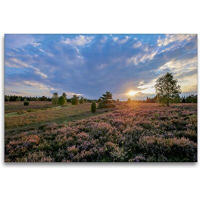 CALVENDO Premium Textil-Leinwand 120 x 80 cm Quer-Format Sonnenuntergang im Büsenbachtal bei Handeloh Wandbild, HD-Bild auf Keilrahmen, Fertigbild auf hochwertigem Vlies, Leinwanddruck von Heike Nack CALVENDO Premium Textil-Leinwand 120 x 80 cm Quer-Format Sonnenuntergang im Büsenbachtal bei Handeloh Wandbild, HD-Bild auf Keilrahmen, Fertigbild auf hochwertigem Vlies, Leinwanddruck von Heike Nack