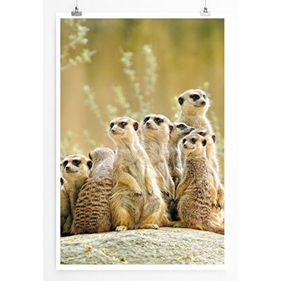 Zone Bilder Tierbilder – Niedliche Erdmännchen Familie- Leinwand Kunstdrucke Wandbilder aus Deutschland Zone Bilder Tierbilder – Niedliche Erdmännchen Familie- Leinwand Kunstdrucke Wandbilder aus Deutschland