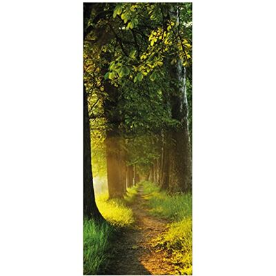Wallario Poster Allee bei Sonnenuntergang in Premiumqualität, Größe: 80 x 200 cm XXL-Poster Wallario Poster Allee bei Sonnenuntergang in Premiumqualität, Größe: 80 x 200 cm XXL-Poster