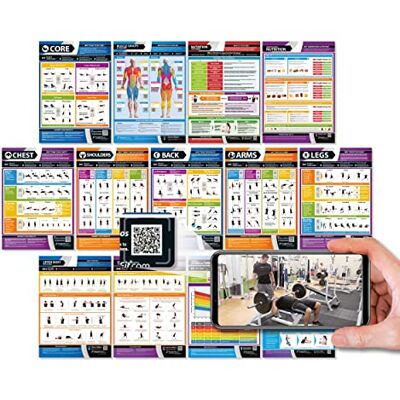 Posterfit Fitnessposter für Muskelaufbau, Übungen und Körperkonditionierung, laminiert, großes Format, 841 mm, 594 mm (A1), 13 Stück Posterfit Fitnessposter für Muskelaufbau, Übungen und Körperkonditionierung, laminiert, großes Format, 841 mm, 594 mm (A1), 13 Stück