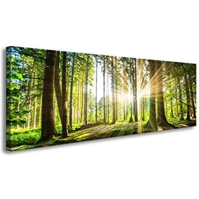 Visario 120 x 40 cm Bild grüner Wald 5730 Visario 120 x 40 cm Bild grüner Wald 5730
