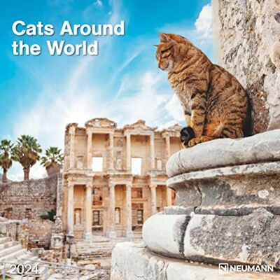 N NEUMANNVERLAGE Cats Around the World 2024 Wand-Kalender Broschüren-Kalender 30x30 30x60 geöffnet Katzen-Kalender N NEUMANNVERLAGE Cats Around the World 2024 Wand-Kalender Broschüren-Kalender 30x30 30x60 geöffnet Katzen-Kalender