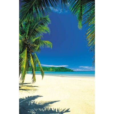 empireposter Beaches Palm Beach IntoTheBlue Beach Poster Foto Strand Palmen Meer Paradies Grösse cm empireposter Beaches Palm Beach IntoTheBlue Beach Poster Foto Strand Palmen Meer Paradies Grösse cm
