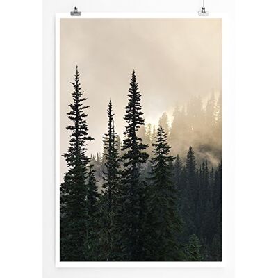 Zone Home Bild Landschaft Natur – Nebel im Tannenwald- Poster Fotodruck in höchster Qualität Zone Home Bild Landschaft Natur – Nebel im Tannenwald- Poster Fotodruck in höchster Qualität