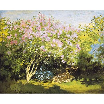 1art1 Claude Monet Poster Blühender Flieder In Der Sonne, 1873 Kunstdruck Bild 50x40 cm 1art1 Claude Monet Poster Blühender Flieder In Der Sonne, 1873 Kunstdruck Bild 50x40 cm