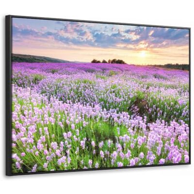 OnlyWow © Leinwand Bilder Gemälde Mit Holzrahmen Wand Deko Wandgemälde Art 100x70 cm XXL Groß Wohnungs Wohnzimmer Pictures Flur Schlafzimmer Über Bett Blumen Lavendel Lila Sonnenuntergang OnlyWow © Leinwand Bilder Gemälde Mit Holzrahmen Wand Deko Wandgemälde Art 100x70 cm XXL Groß Wohnungs Wohnzimmer Pictures Flur Schlafzimmer Über Bett Blumen Lavendel Lila Sonnenuntergang