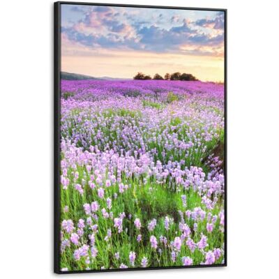 OnlyWow © Leinwand Bilder Gemälde Mit Holzrahmen Wand Deko Wandgemälde Art 100x150 cm XXL Groß Wohnungs Wohnzimmer Pictures Flur Schlafzimmer Über Bett Blumen Lavendel Lila Sonnenuntergang OnlyWow © Leinwand Bilder Gemälde Mit Holzrahmen Wand Deko Wandgemälde Art 100x150 cm XXL Groß Wohnungs Wohnzimmer Pictures Flur Schlafzimmer Über Bett Blumen Lavendel Lila Sonnenuntergang