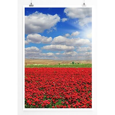 Zone Home Bild Landschaft Natur – Malerisches Mohnfeld- Poster Fotodruck in höchster Qualität Zone Home Bild Landschaft Natur – Malerisches Mohnfeld- Poster Fotodruck in höchster Qualität