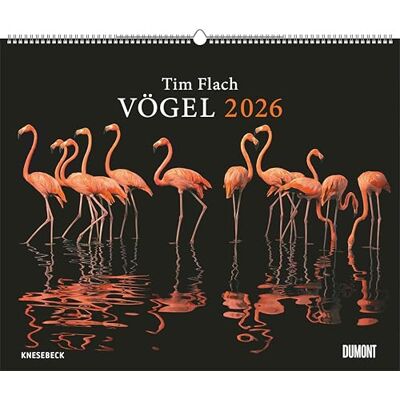 DUMONT Tim Flach: Vögel 2026 – Posterkalender 60 x 50 cm – Faszinierende Vogel-Porträts für Tierfreunde & Fotografie-Liebhaber DUMONT Tim Flach: Vögel 2026 – Posterkalender 60 x 50 cm – Faszinierende Vogel-Porträts für Tierfreunde & Fotografie-Liebhaber