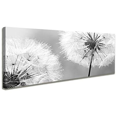 Visario 120 x 40 cm Bild Pusteblume Löwenzahn Hundeblume 5741 Visario 120 x 40 cm Bild Pusteblume Löwenzahn Hundeblume 5741