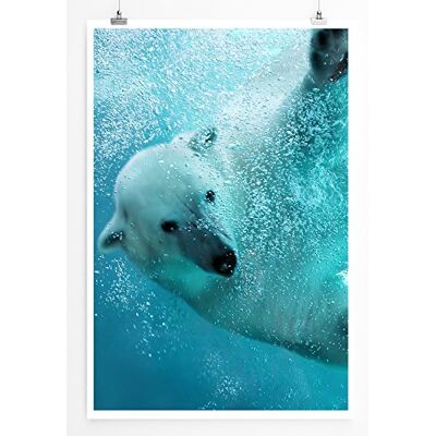 Zone Home Bild Tierbilder – Eisbär unter Wasser- Poster Fotodruck in höchster Qualität Zone Home Bild Tierbilder – Eisbär unter Wasser- Poster Fotodruck in höchster Qualität