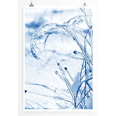 Zone Home Bild Naturbilder – Gefrorene Zweige im Schnee- Poster Fotodruck in höchster Qualität Zone Home Bild Naturbilder – Gefrorene Zweige im Schnee- Poster Fotodruck in höchster Qualität