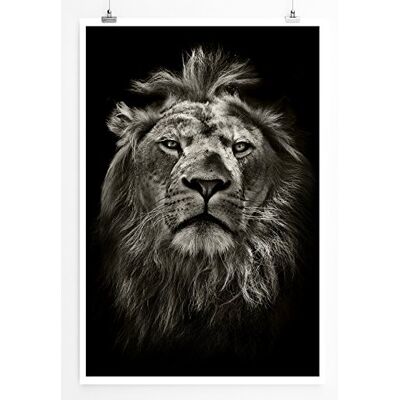 Zone Home Bild Tierbilder – Löwenporträt schwarz weiß- Poster Fotodruck in höchster Qualität Zone Home Bild Tierbilder – Löwenporträt schwarz weiß- Poster Fotodruck in höchster Qualität