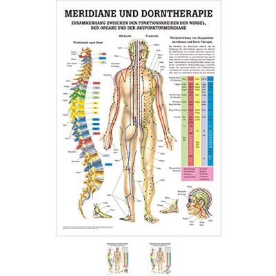 Sport-Tec Meridiane u. Dorn Mini-Poster Anatomie 34x24 cm medizinische Lehrmittel Sport-Tec Meridiane u. Dorn Mini-Poster Anatomie 34x24 cm medizinische Lehrmittel