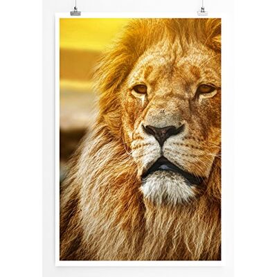 Zone Home Bild Tierbilder – Löwe in Goldener Savanne- Poster Fotodruck in höchster Qualität Zone Home Bild Tierbilder – Löwe in Goldener Savanne- Poster Fotodruck in höchster Qualität
