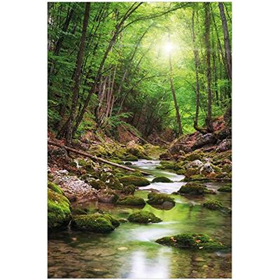 Wallario Poster Fluss im Wald in Premiumqualität, Größe: 61 x 91,5 cm (Maxiposter) Wallario Poster Fluss im Wald in Premiumqualität, Größe: 61 x 91,5 cm (Maxiposter)