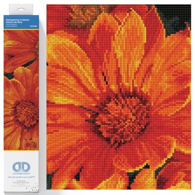 DIAMOND DOTZ 2592676 Original 5D Diamond Painting Set, Mittagsblume, DIY Diamant-Malerei-Kit mit runden Glitzersteinen für Erwachsene und Kinder ab 12 Jahren, Intermediate DIAMOND DOTZ 2592676 Original 5D Diamond Painting Set, Mittagsblume, DIY Diamant-Malerei-Kit mit runden Glitzersteinen für Erwachsene und Kinder ab 12 Jahren, Intermediate
