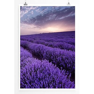 Zone Home Bild Landschaft Natur – Lavendelfelder bei Sonnenaufgang- Poster Fotodruck in höchster Qualität Zone Home Bild Landschaft Natur – Lavendelfelder bei Sonnenaufgang- Poster Fotodruck in höchster Qualität