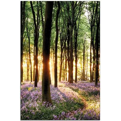 Wallario Outdoor-Poster für Garten oder Balkon Blaue Hasenglöckchen im Wald mit Sonnenstrahlen, Motivbanner Größe: ca. 60 x 90 cm, Outdoor-Bild Wallario Outdoor-Poster für Garten oder Balkon Blaue Hasenglöckchen im Wald mit Sonnenstrahlen, Motivbanner Größe: ca. 60 x 90 cm, Outdoor-Bild
