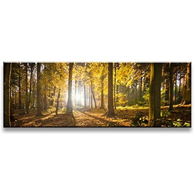 Visario Bild & Kunstdruck der deutschen Marke 120 x 40 cm ArtNr 5722 Bilder auf Leinwand Kunstdrucke Wald Wandbild einteilig Visario Bild & Kunstdruck der deutschen Marke 120 x 40 cm ArtNr 5722 Bilder auf Leinwand Kunstdrucke Wald Wandbild einteilig