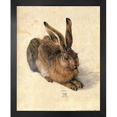 1art1 Albrecht Dürer Poster Kunstdruck Bild und MDF-Rahmen Junger Feldhase, 1502 (50 x 40cm) 1art1 Albrecht Dürer Poster Kunstdruck Bild und MDF-Rahmen Junger Feldhase, 1502 (50 x 40cm)