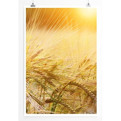 Zone Home Bild Naturbilder – Weizenähren unter der Sonne- Poster Fotodruck in höchster Qualität Zone Home Bild Naturbilder – Weizenähren unter der Sonne- Poster Fotodruck in höchster Qualität