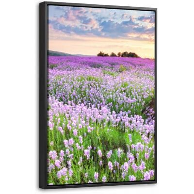 OnlyWow © Leinwand Bilder Gemälde Mit Holzrahmen Wand Deko Wandgemälde Art 40x60 cm Stilvoll Wohnungs Wohnzimmer Pictures Flur Schlafzimmer Über Bett Blumen Lavendel Lila Sonnenuntergang OnlyWow © Leinwand Bilder Gemälde Mit Holzrahmen Wand Deko Wandgemälde Art 40x60 cm Stilvoll Wohnungs Wohnzimmer Pictures Flur Schlafzimmer Über Bett Blumen Lavendel Lila Sonnenuntergang