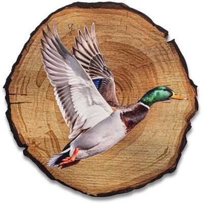 DRO Design Ente Größe 20cm Rustikales Wandbild im Vintage Look – Holzoptik Wanddeko mit Motiv für Wohnzimmer und Flur – Geschenkidee für Tierliebhaber, Wandgemälde DRO Design Ente Größe 20cm Rustikales Wandbild im Vintage Look – Holzoptik Wanddeko mit Motiv für Wohnzimmer und Flur – Geschenkidee für Tierliebhaber, Wandgemälde