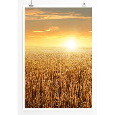Zone Home Bild Landschaft Natur – Sonne über dem Weizenfeld- Poster Fotodruck in höchster Qualität Zone Home Bild Landschaft Natur – Sonne über dem Weizenfeld- Poster Fotodruck in höchster Qualität