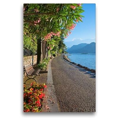 CALVENDO Premium Textil-Leinwand 30 x 45 cm Hoch-Format Seeuferweg am Gardasee, Malcesine Wandbild, HD-Bild auf Keilrahmen, Fertigbild auf hochwertigem Vlies, Leinwanddruck von SusaZoom CALVENDO Premium Textil-Leinwand 30 x 45 cm Hoch-Format Seeuferweg am Gardasee, Malcesine Wandbild, HD-Bild auf Keilrahmen, Fertigbild auf hochwertigem Vlies, Leinwanddruck von SusaZoom