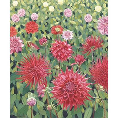 Susan Entwistle Kunstdruck Field of Dahlien Limited Edition Papier, Mehrfarbig, 40 x 48 cm Susan Entwistle Kunstdruck Field of Dahlien Limited Edition Papier, Mehrfarbig, 40 x 48 cm