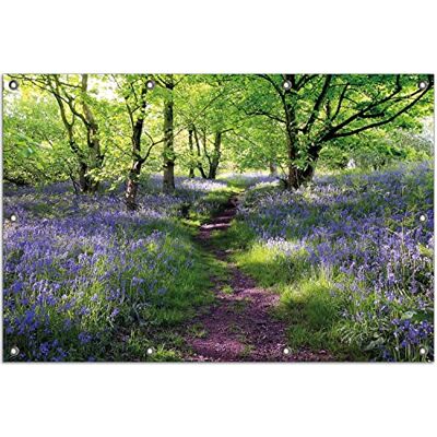 Wallario Outdoor-Poster für Garten oder Balkon Blaues Hasenglöckchen im Wald, Motivbanner Größe: ca. 80 x 120 cm, Outdoor-Bild Wallario Outdoor-Poster für Garten oder Balkon Blaues Hasenglöckchen im Wald, Motivbanner Größe: ca. 80 x 120 cm, Outdoor-Bild