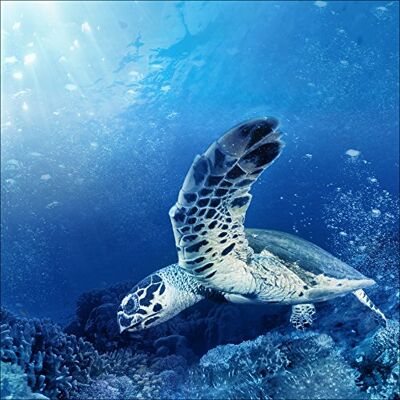 Pro-Art GLA1078ZE Wandbild Glas-Art "Blue Sea I", bunt Pro-Art GLA1078ZE Wandbild Glas-Art "Blue Sea I", bunt