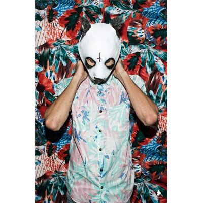 empireposter Cro Whatever Carlo Waibel Musik Panda Raop +5 Rap Pop Poster Plakat Druck Grösse cm + 2 St Posterleisten Kunststoff 62 cm transparent empireposter Cro Whatever Carlo Waibel Musik Panda Raop +5 Rap Pop Poster Plakat Druck Grösse cm + 2 St Posterleisten Kunststoff 62 cm transparent