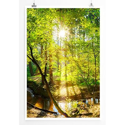 Zone Home Bild Landschaft Natur – Waldbach in der Sonne- Poster Fotodruck in höchster Qualität Zone Home Bild Landschaft Natur – Waldbach in der Sonne- Poster Fotodruck in höchster Qualität