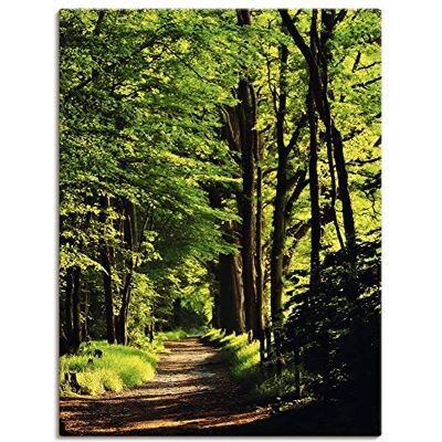 ARTLAND Weg im Wald - Grünes Wandbild Leinwand, Alu, Poster - Wandkunst ARTLAND Weg im Wald - Grünes Wandbild Leinwand, Alu, Poster - Wandkunst