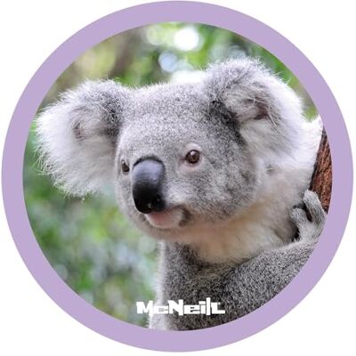 McNeill McAddy Koala McNeill McAddy Koala