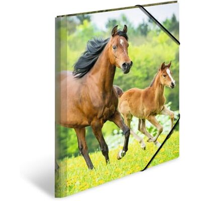 HERMA Sammelmappen A3 Pferde Set, 3 Stück, Kinder Eckspanner-Mappen aus Kunststoff mit Tier Motiv, Gummizug, Innenklappen und Innendruck für Jungen und Mädchen HERMA Sammelmappen A3 Pferde Set, 3 Stück, Kinder Eckspanner-Mappen aus Kunststoff mit Tier Motiv, Gummizug, Innenklappen und Innendruck für Jungen und Mädchen