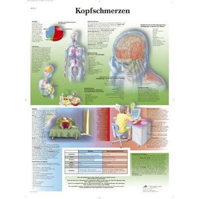 3B Scientific Lehrtafel laminiert Kopfschmerzen 3B Scientific Lehrtafel laminiert Kopfschmerzen