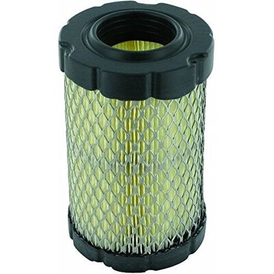 Briggs & Stratton Luftfilter b&s 796031 15-17,5cv avs Briggs &Stratton 78 x 39 x 126 mm Briggs & Stratton Luftfilter b&s 796031 15-17,5cv avs Briggs &Stratton 78 x 39 x 126 mm