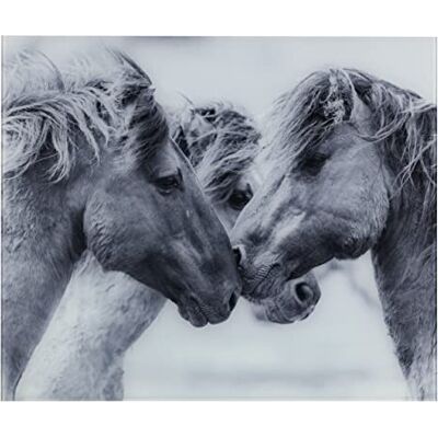 WENKO Glasrückwand Horses, Spritzschutz für Herd oder Spüle, Wandblende mit Pferde-Motiv, Gehärtetes Glas, 60 x 50 cm, grau WENKO Glasrückwand Horses, Spritzschutz für Herd oder Spüle, Wandblende mit Pferde-Motiv, Gehärtetes Glas, 60 x 50 cm, grau