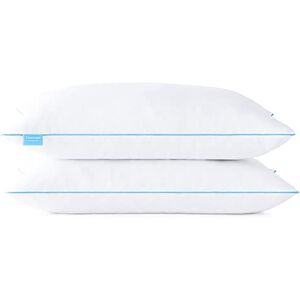 Linenspa 50x70 cm Kopfkissen – 2er Set – Mittelfestes Kissen – Öko-Tex – aus zerkleinerten Memory Foam Flocken, Weiß Linenspa 50x70 cm Kopfkissen – 2er Set – Mittelfestes Kissen – Öko-Tex – aus zerkleinerten Memory Foam Flocken, Weiß