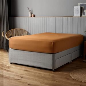 Silentnight Superweiches natürliches Spannbettlaken, gemütlich und bequem, zarte Haptik, Pflegeleichte Mikrofaser mit elastischen Ecken, stilvolles und modernes Matratzen-Spannbetttuch, Kingsize Silentnight Superweiches natürliches Spannbettlaken, gemütlich und bequem, zarte Haptik, Pflegeleichte Mikrofaser mit elastischen Ecken, stilvolles und modernes Matratzen-Spannbetttuch, Kingsize