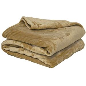Poyet Motte Made In France POYET MOTTE Fleecedecke, Polyester, Beige, 220 x 240 cm, Motiv Produktreihe Mikrofaser Poyet Motte Made In France POYET MOTTE Fleecedecke, Polyester, Beige, 220 x 240 cm, Motiv Produktreihe Mikrofaser