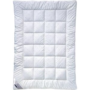 Billerbeck Faser Bettdecke E21 King mit Aloe Vera veredelte Faserdecke 155 x 220 cm Ganzjahresdecke der Wärmestufe mittel, Weiß Billerbeck Faser Bettdecke E21 King mit Aloe Vera veredelte Faserdecke 155 x 220 cm Ganzjahresdecke der Wärmestufe mittel, Weiß