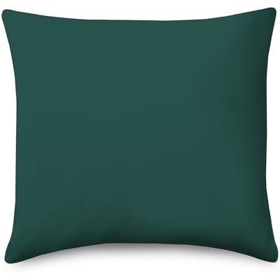 Third of Life Kissenbezug 60x60 cm Meer-grün Einzelpack, Mit Premium Mako-Baumwolle Kopfkissen-Bezug für 60 x 60 Kissen, Polsterbezug für Schlafkissen/Sofakissen/Dekokissen, Kissenbezüge Oeko-TEX zertifiziert Third of Life Kissenbezug 60x60 cm Meer-grün Einzelpack, Mit Premium Mako-Baumwolle Kopfkissen-Bezug für 60 x 60 Kissen, Polsterbezug für Schlafkissen/Sofakissen/Dekokissen, Kissenbezüge Oeko-TEX zertifiziert
